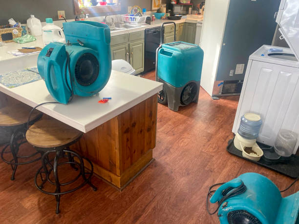 Best Water damage restoration near me  in Bald Kno, AR