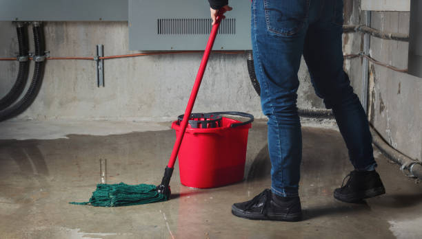 Best Emergency water damage restoration  in Bald Kno, AR